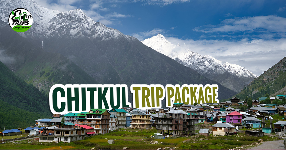 Chitkul trip package	